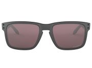 Brýle OAKLEY Holbrook Steel w/Prizm Daily Polarized