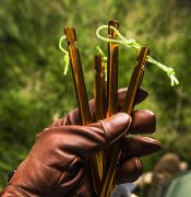 Stanové kolíky Helikon Tarp Stakes 18cm, 4ks, oranžové