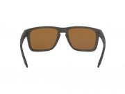 Brýle OAKLEY Holbrook XL Woodgrain, PRIZMTngstnPol