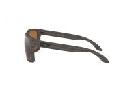 Brýle OAKLEY Holbrook XL Woodgrain, PRIZMTngstnPol