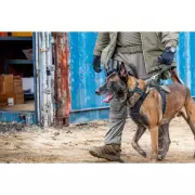 Bunda 5.11 Bastion Jacket, Ranger Green Bunda 5.11 Bastion Jacket, Ranger Green