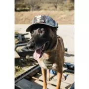 Kšiltovka 5.11 Tactical BEARER, Ranger Green