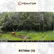 Fotopast Venator BST886-2G - 36Mpix, 940 IR, 2G