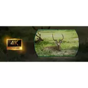 Multispektrální binokulár Pixfra Draco 4K 940nm