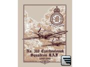 Triko Mars&Arms RAF 310 - vel.XL