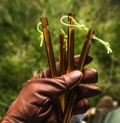 Stanové kolíky Helikon Tarp Stakes 18cm, 4ks, zelené