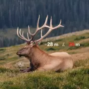 Multispektrální binokulár Hikmicro Habrok 4K HH35L 2.0 s dálkoměrem