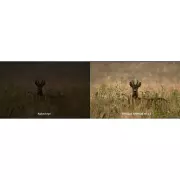 Multispektrální binokulár Hikmicro Habrok 4K HH35L 2.0 s dálkoměrem