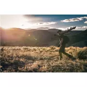 Batoh 5.11 COVRT18 (30 l), černý Batoh 5.11 COVRT18 (30 l), černý